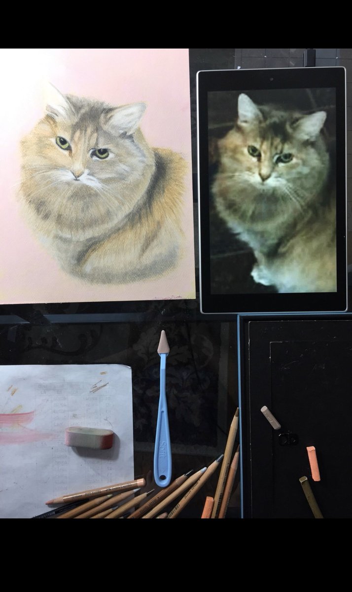 Free2Color's tweet image. I was commissioned to do this portrait by my friend Laurie as a bday gift