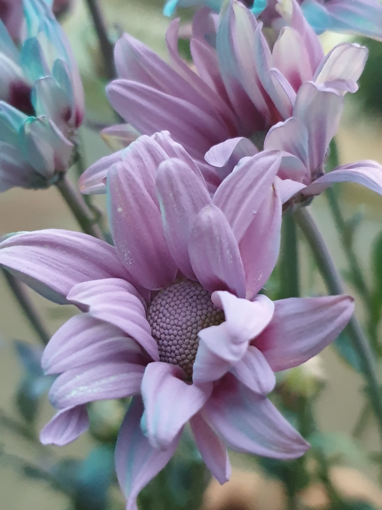 ÎŸ Ï‡ÏÎ ÏƒÏ„Î·Ï‚ iffa suraiya haris ÏƒÏ„Î¿ Twitter "Hasil latihan