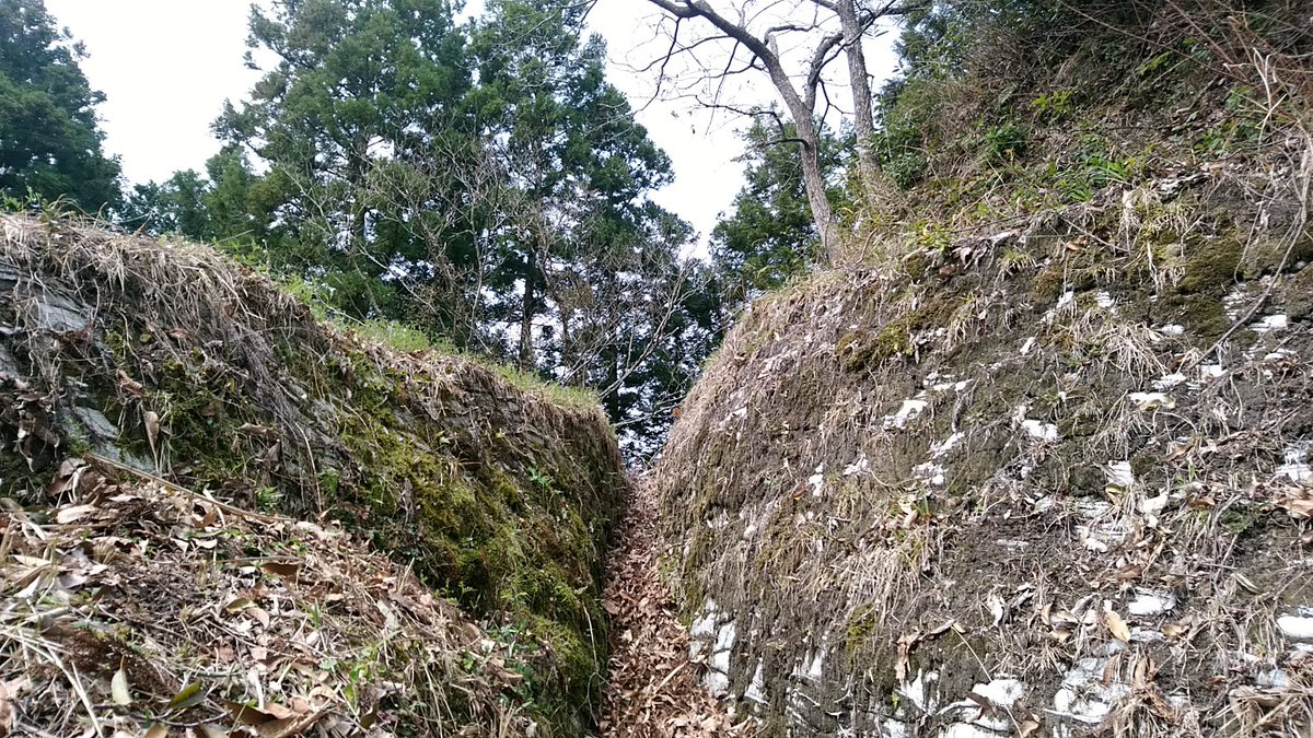 河後森城