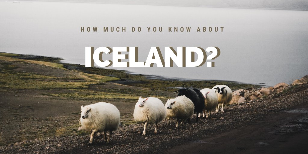 totally_iceland's tweet photo. Let's find out by voting the comments! ⤵️ https://t.co/JvIPAxMs7X