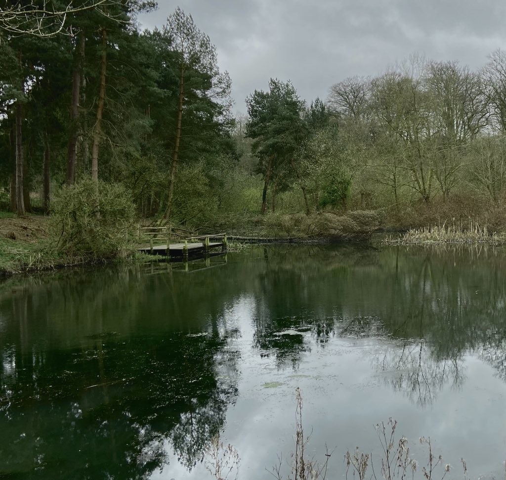 Piecesofnature1's tweet photo. Styal Country Park eerily quiet this morning but I saw my first kingfisher in years. Lockdown benefits. #outwiththedog #Styalcountrypark #lockdown #naturalhealthservice #Cheshire https://t.co/k6ZvCpU1k2