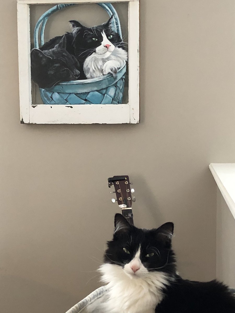 litcoach_walker's tweet photo. Ok @HRCE_NS teachers. You got this! Make use of the supports around you and remember-we are in this together! I will be profiling tips and resources for literacy focussed distance learning. Follow along for positive ideas and vibes. (and maybe a few pictures of my cats.) https://t.co/yWpNlu0Q5n