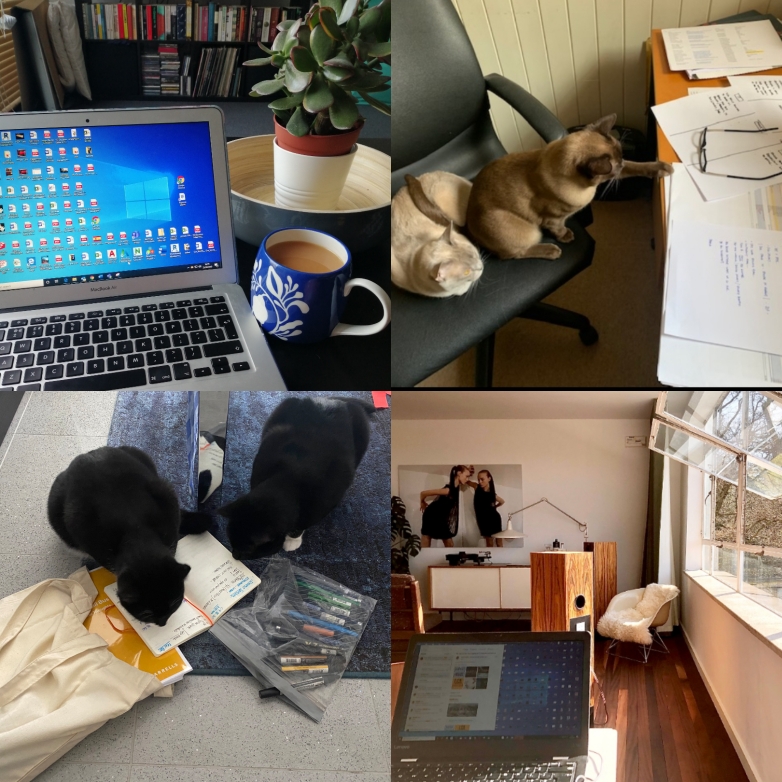 Farrells's tweet photo. Due to the #COVID19 outbreak, we’ve lost our formal desk set up but gained some furry colleagues! Have you gained any new helpers in light of the recent events? #FarrellsLondon #architecture https://t.co/zl11pnMdJu
