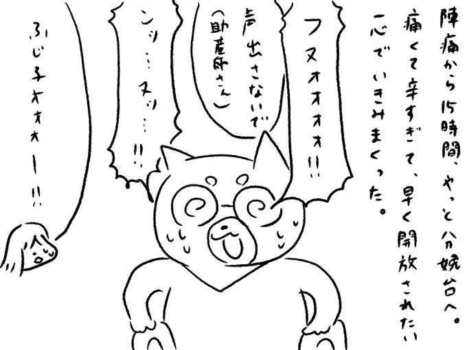 初めての出産レポート⑥
ついに息子と対面、これでラストです! 