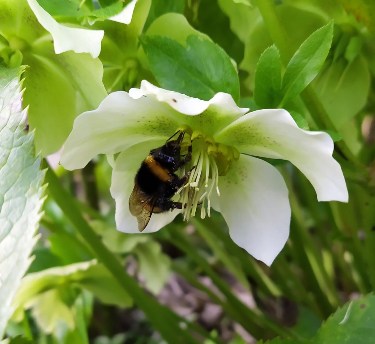 B seeing U ! tweet media