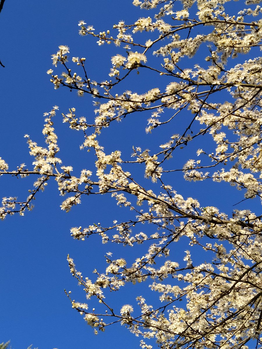 B seeing U ! tweet media