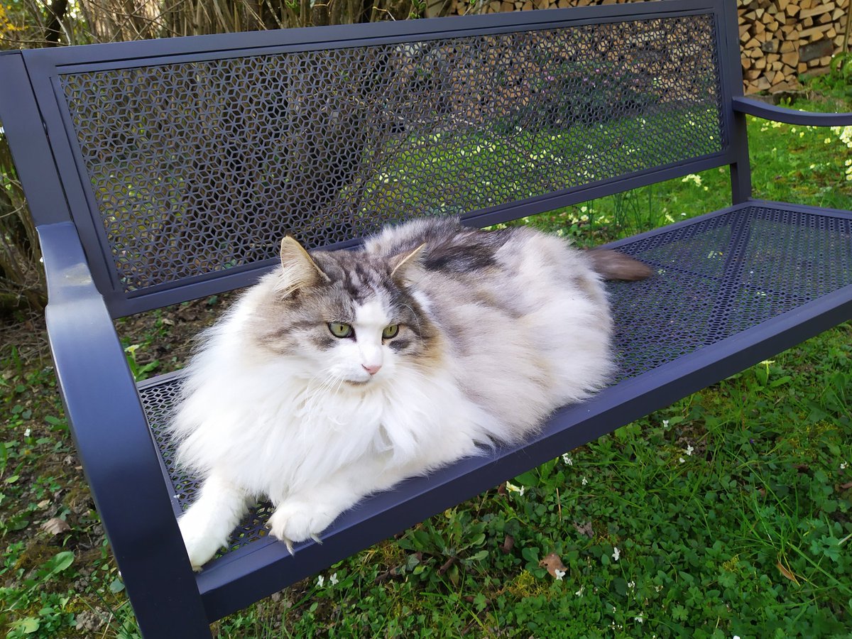 B seeing U ! tweet media