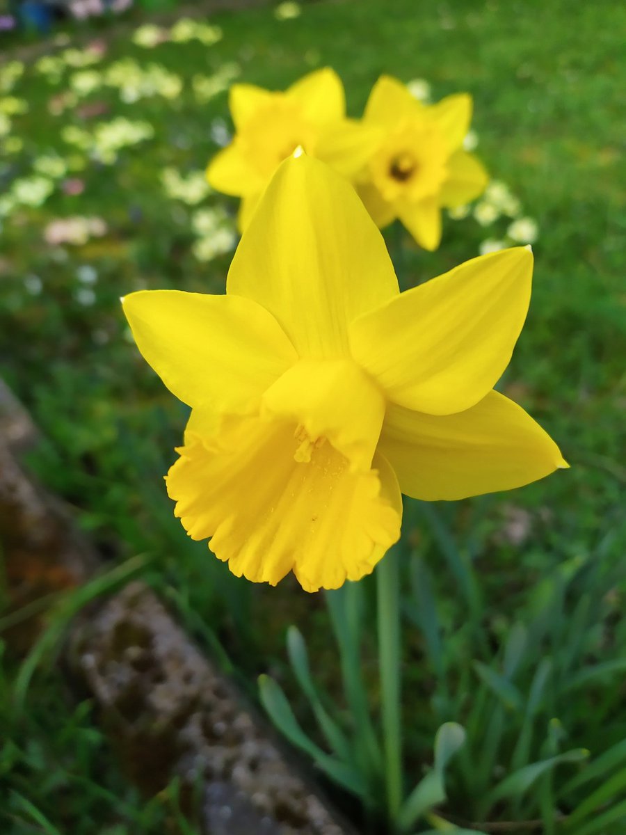 B seeing U ! tweet media