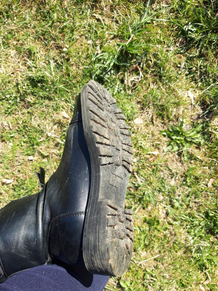 Queen_JG_'s tweet photo. Na kolana i liż je kundlu do czystości  👅👅👅#femdom #paypig #findom  #feetslave #feet #money #spoiltime #moneyslave #dirtyshoes #payme #paypiggies 
@rt_feet  @PeterDog13 @Rtfinddom @RTpaypiggy  @findom4feet @FootParadiseRT @dailydog7972 @finrt4dom https://t.co/qiucslZHjF