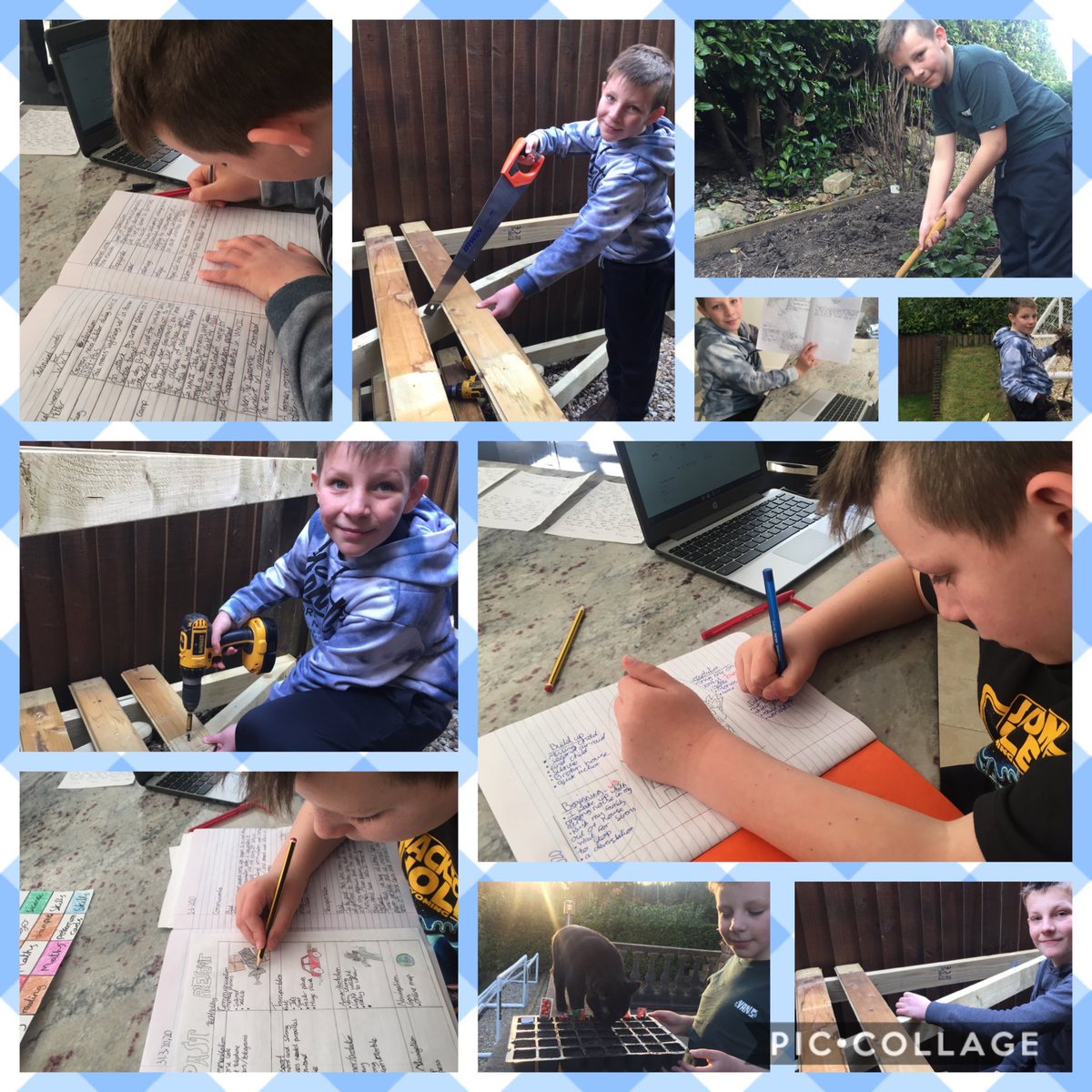 A very bust two weeks both inside and outside with our home learning. @RogPrmSch <a href="/MrsBeckett6/">Mrs Beckett</a> @RayerHead