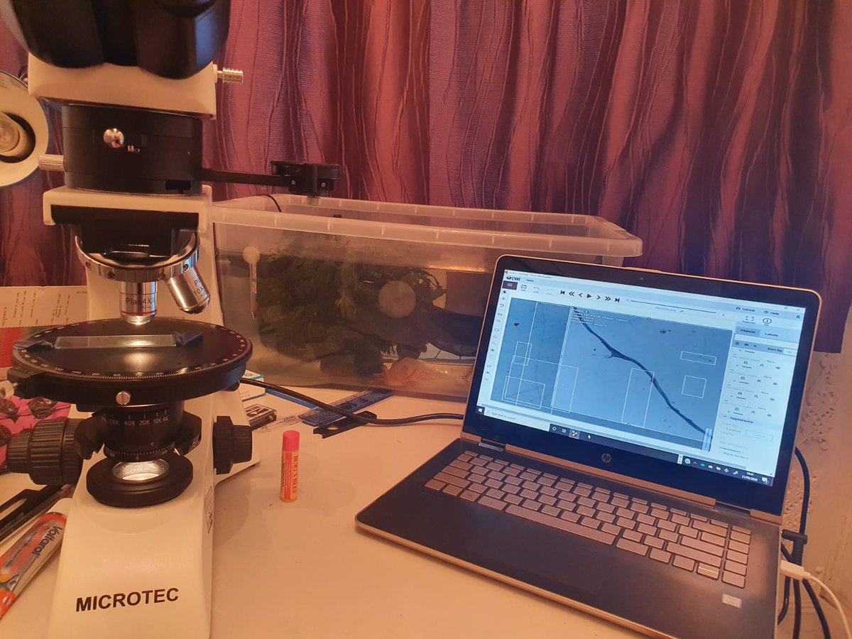Staffs Uni Microplastic Research Group tweet media