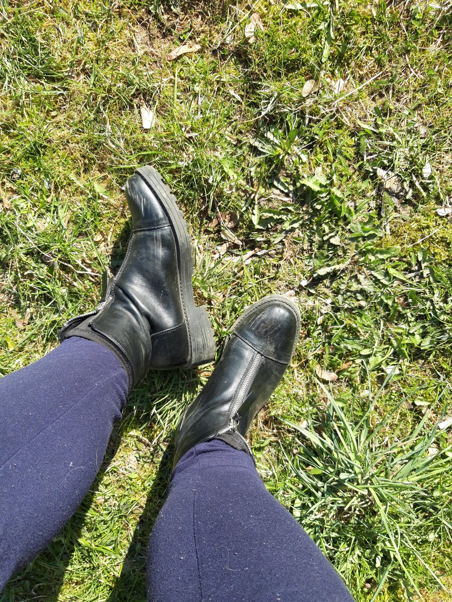 Queen_JG_'s tweet photo. Na kolana i liż je kundlu do czystości  👅👅👅#femdom #paypig #findom  #feetslave #feet #money #spoiltime #moneyslave #dirtyshoes #payme #paypiggies 
@rt_feet  @PeterDog13 @Rtfinddom @RTpaypiggy  @findom4feet @FootParadiseRT @dailydog7972 @finrt4dom https://t.co/qiucslZHjF