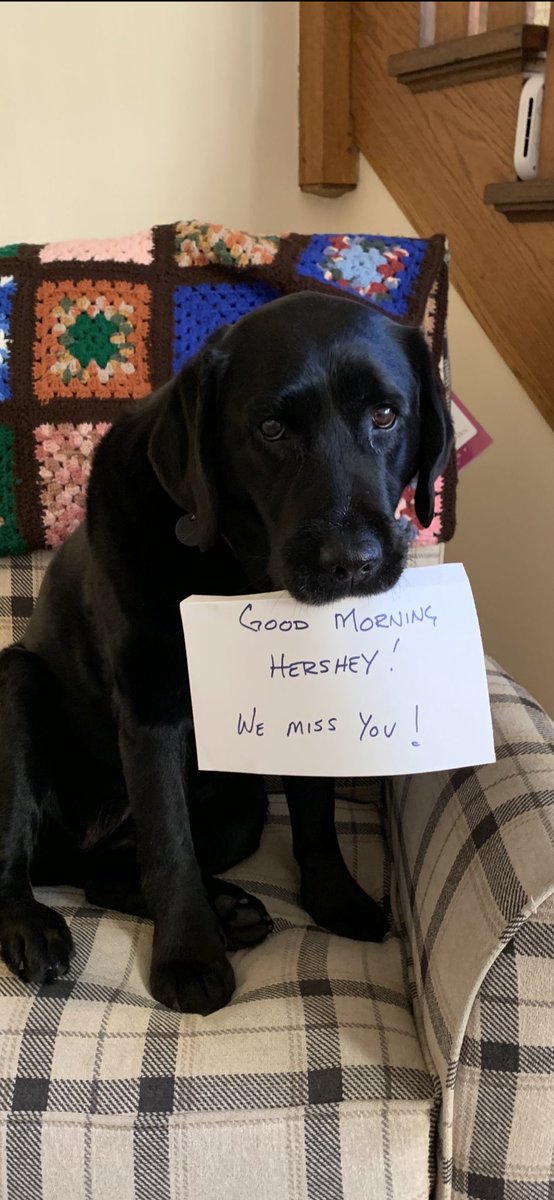 LEWhershey's tweet photo. Good Morning Hershey!  We miss our students and hope everyone is well! @DTSDnews @DtsdTrojans https://t.co/m4zmAtOgsb