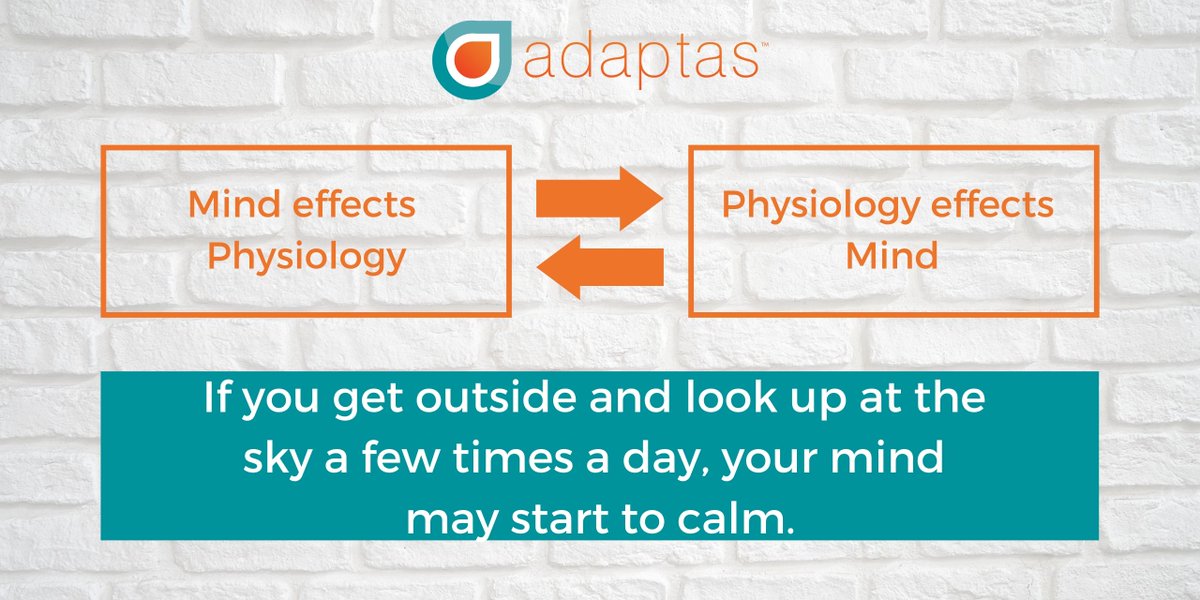 adaptastraining's tweet photo. #Physiology #Mind #Change #CopingWithCovid #CopingTogether #Calm #Isolation #Adaptation #Adaptability #Embracechange #OurLearningBrain #AdaptasTraining https://t.co/ebe72BcABd