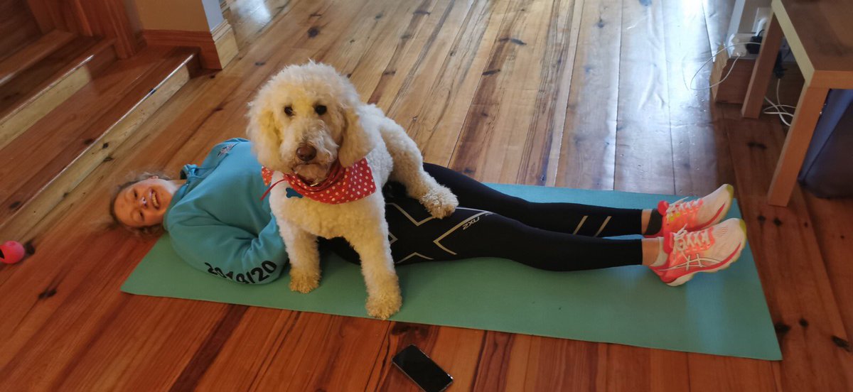 SwimPathUK's tweet image. 🐶 Looks like @Ellie_mckibbin is having a similar issue trying to do her home workout 🤣

We’d love to see more of your pets getting in on the action! Tag us in your photos or send them over to info@swimpath.co.uk

#swimpath #homeworkout