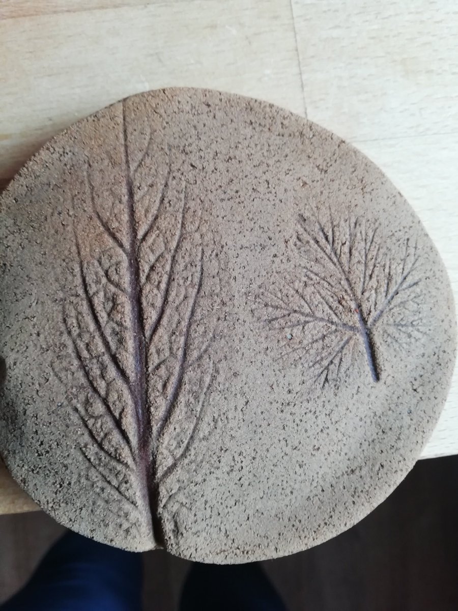 SARAHRO71516931's tweet photo. Making fossilised leaves and flowers because we had no dinosaurs @FrjsJun #homelearning #y6 https://t.co/TDx9aIjBso