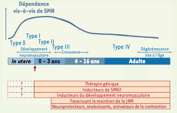 ms_MedSci's tweet photo. Serge Braun retrace les étapes de la recherche sur l’amyotrophie #spinale infantile, puis celles de la commercialisation du #ZolgenSMA ®, le #gènemédicament « le plus cher du monde » qui permet de ralentir la maladie. https://t.co/eE6TgZPTfL #freeaccess @Telethon_France https://t.co/MafAXeKTJu