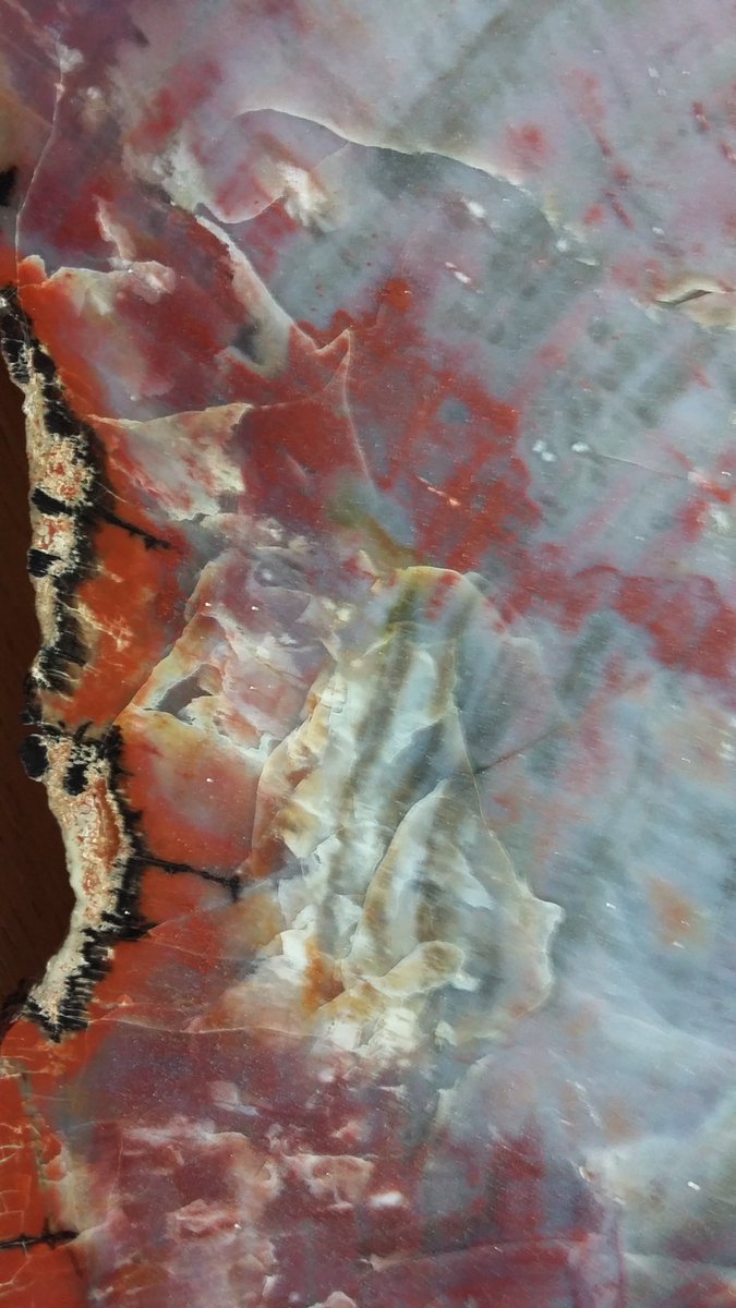rhian_kendall's tweet photo. More #StonesAtHome on day 18/? of #BGSfromHome #RockingRemotely. More palaeobotany and a reminder of a lovely holiday in Arizona - a piece of Triassic plant. The original wood is replaced by silica, from volcanic ash, colour is from minerals, such as iron, manganese, and carbon. https://t.co/qil6ptXvQn
