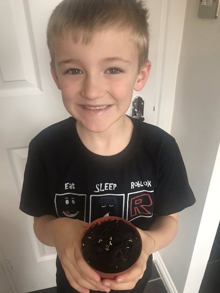 ward1_simone's tweet photo. @scargill_school planted some seeds this week and got messy. He loved it.... now to get him to keep a diary. π¬ https://t.co/5wHeD1uy9m