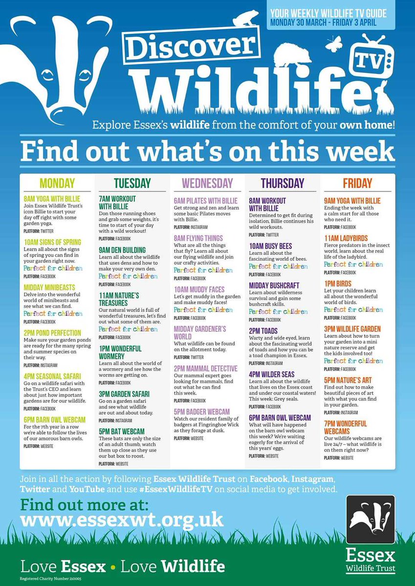 Harold Wood Primary (@hwoodprimary) on Twitter photo 