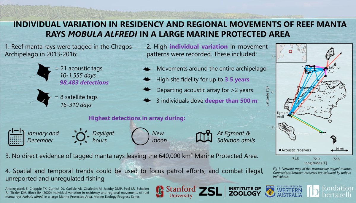 Sammy Andrzejaczek tweet media