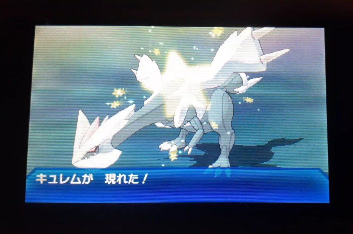 ポケモン キュレム 捕まえ方 最高のイラストと図面 ポケモン キュレム 捕まえ方 最高のイラストと図面