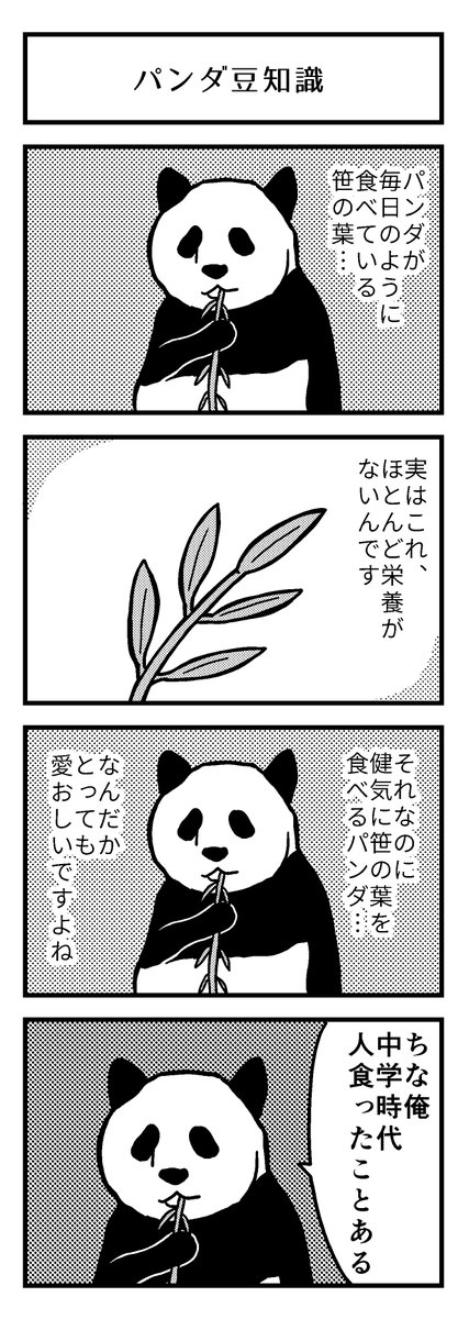 パンダ豆知識 