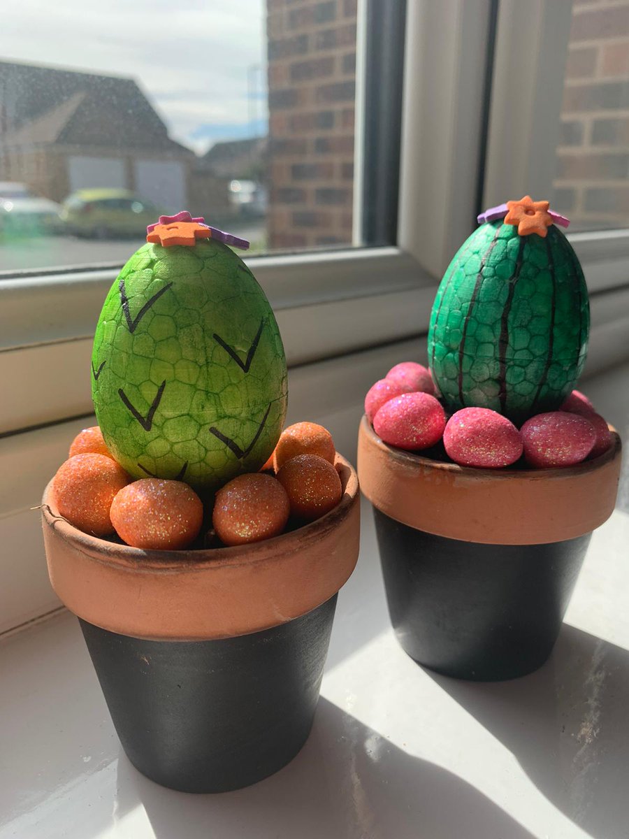 yewsey's tweet photo. @SMagdalens Mrs Gallaghers Cacti. Happy Easter everyone https://t.co/uWW9xlRR18
