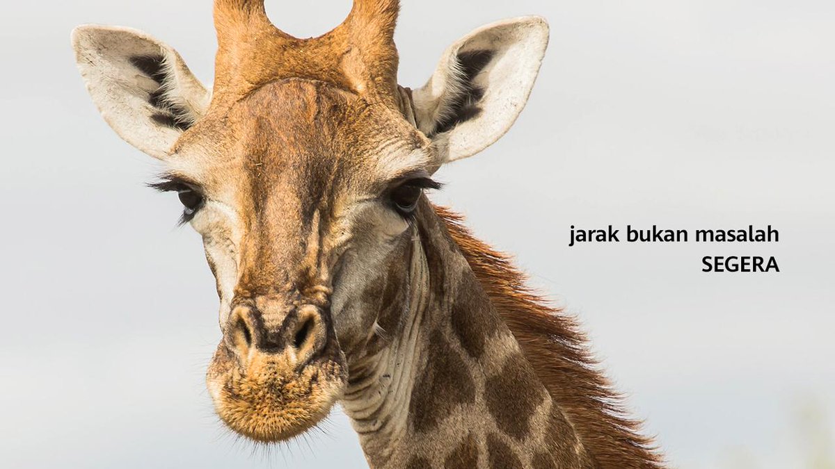 HuaweiMobileID's tweet photo. Terlalu jauh? Jarak bukan masalah. Nantikan segera pada 11 April 2020. https://t.co/eCFLiAC6ml
