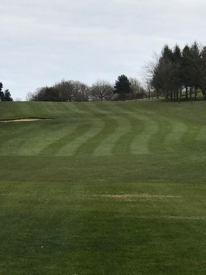 SpringwaterGolfClub tweet media