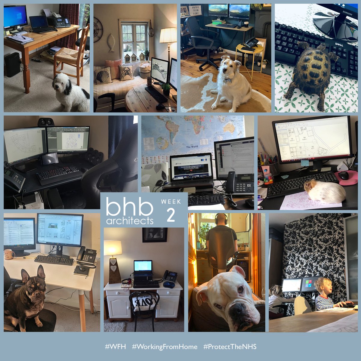 BHB Architects tweet media