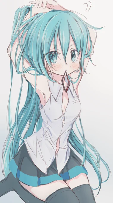 髪結いミクちゃん。 