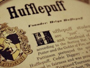 Tay Tawan Vihokratanaー Hufflepuff.ー looks intimidating but is actually a giant fluffballー a Headboy that nags. a lot. ー came from a full-Slytherin descent. ー excels in Defense Against the Dark Arts.ー very interested in Muggles.