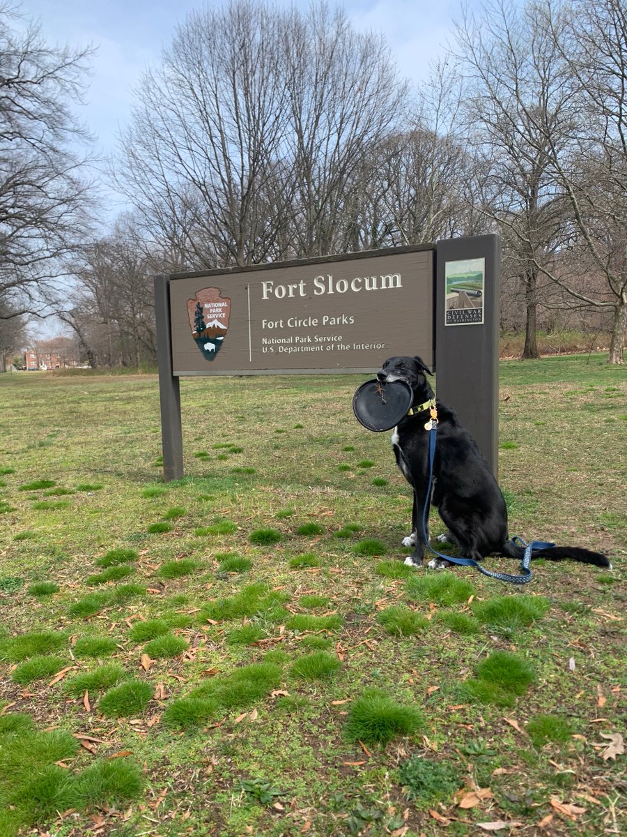 Here’s one of Truman’s favorite Find Your Bark pictures. Truman enjoys frisbees, tennis balls, and preserving and protecting our collective heritage through NPF! #FindYourPark  #EncuentraTuParque