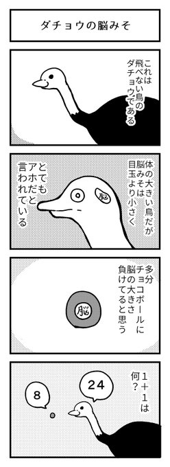 ダチョウの脳みそ 