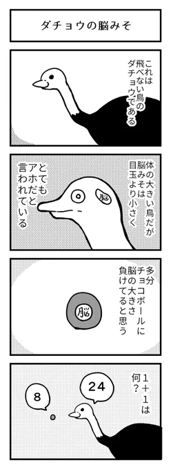 ダチョウの脳みそ 