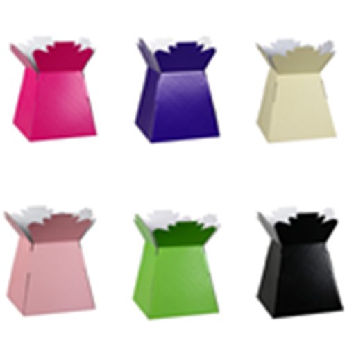 FSUKltd tweet picture