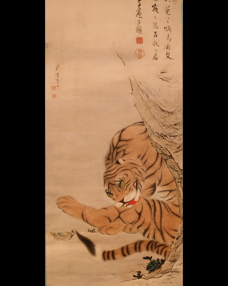 蘆雪 猛虎図 福田美術館 若冲誕生 ー葛藤の向こうがわー 猛虎図 #猛虎