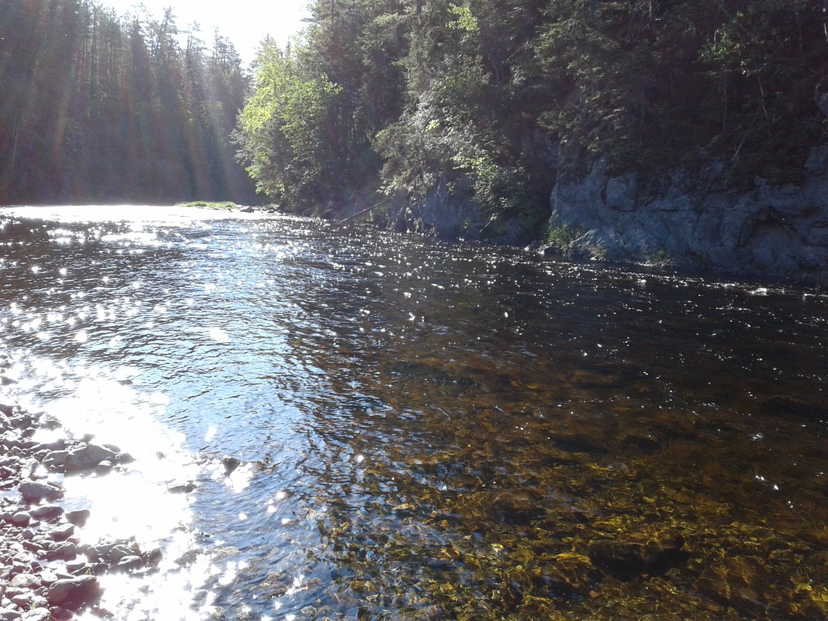 drtightline's tweet photo. #CalmingWaters photo from NW Miramichi River to lift spirits https://t.co/AElkb99dMD