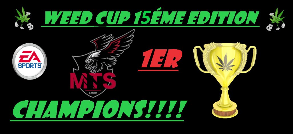 Win For Memory tweet media