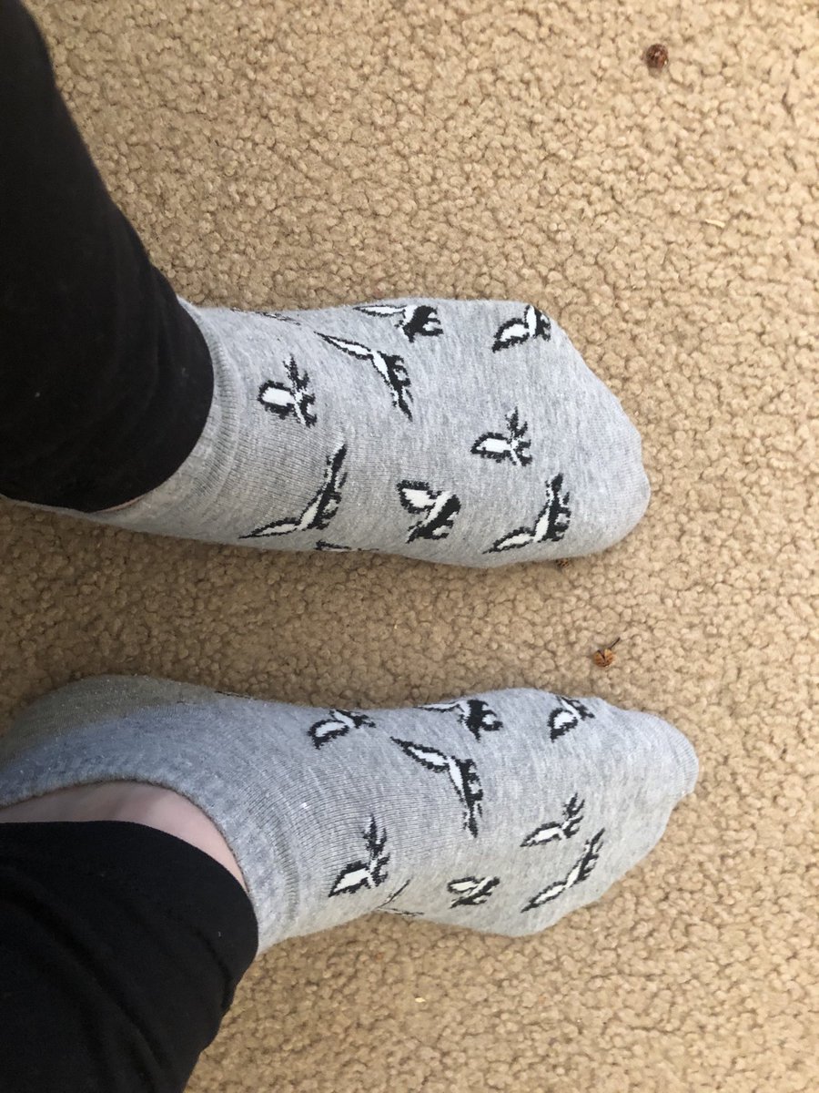 Skunk socks for crazy sock day! #ValleyFamilyValleyPride