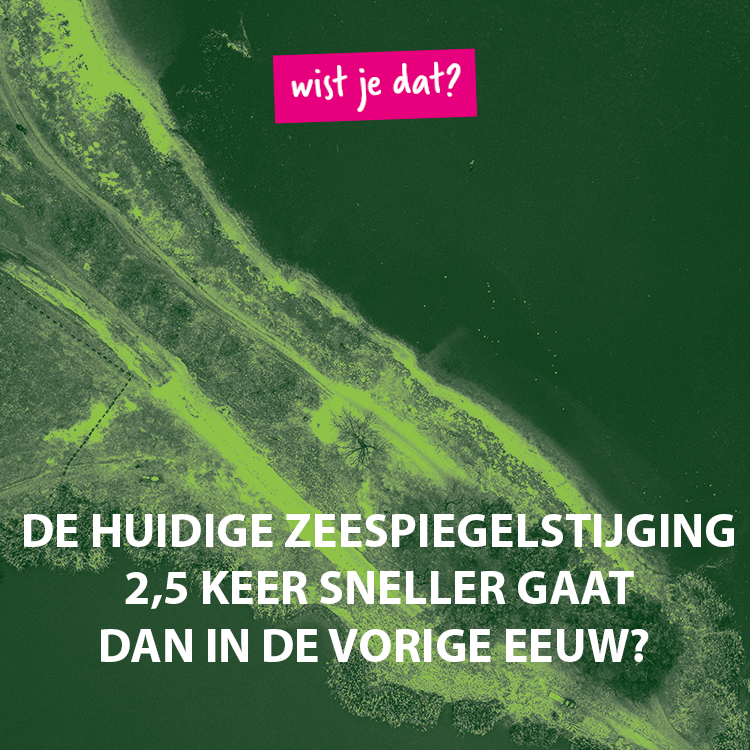 Recent onderzoek geeft aan dat de zeespiegelstijging sneller gaat dan verwacht en Groenland smelt vier keer sneller dan in de vorige eeuw. ⁠Bron: dezb.nl/dam/bestanden/…
⁠
#yesc #youngenergysocietychallenge #energietransitie #klimaatverandering #wistjedat #klimaatfeitjes