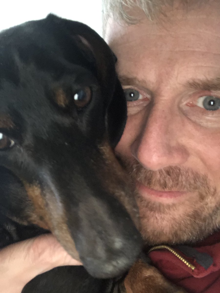 BoogsTweets's tweet photo. @Mrs_BCPS @Cuiken_Primary Hello. #cuikenfamilypets #steve https://t.co/hXZZAKijaB