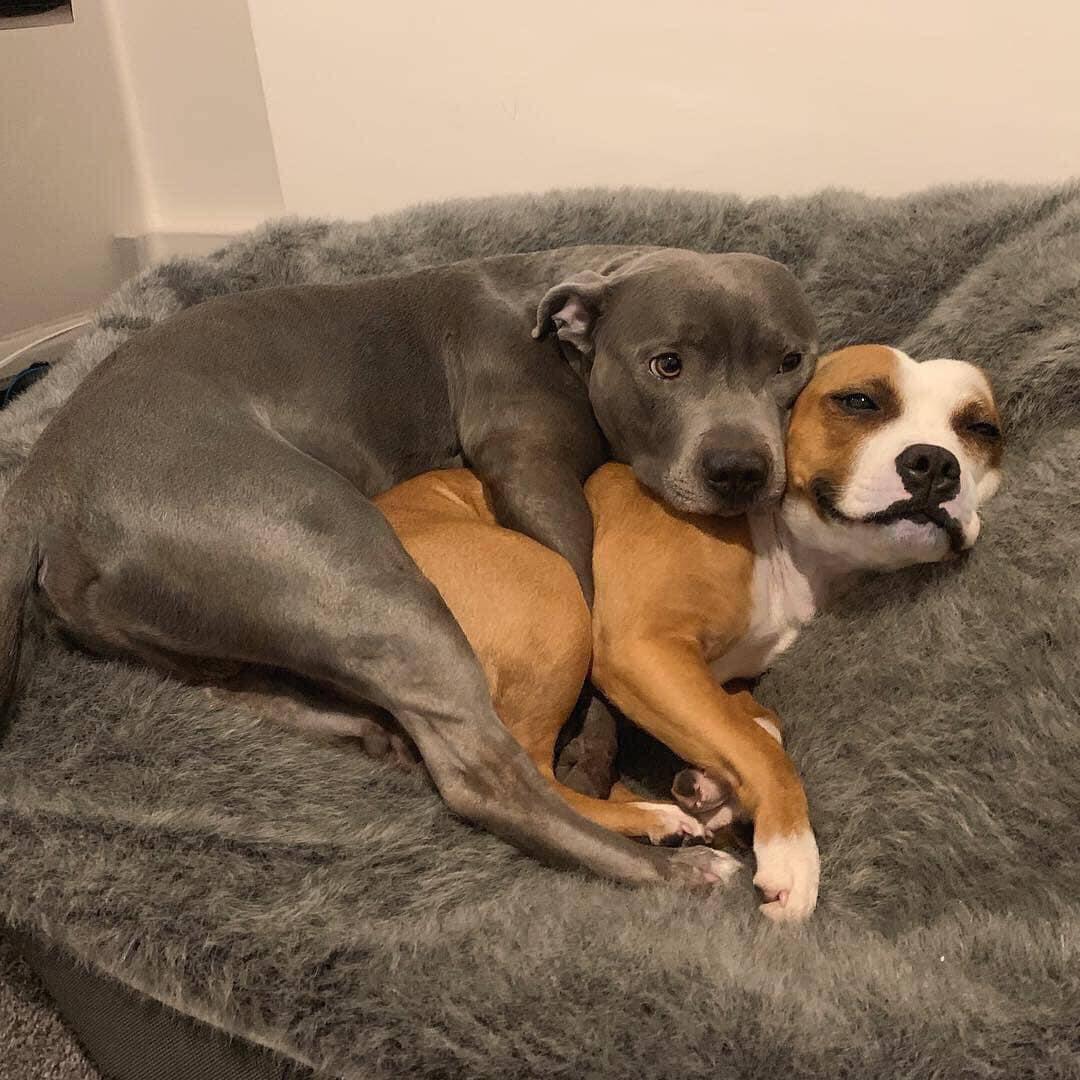 This is the most beautiful pic I saw today