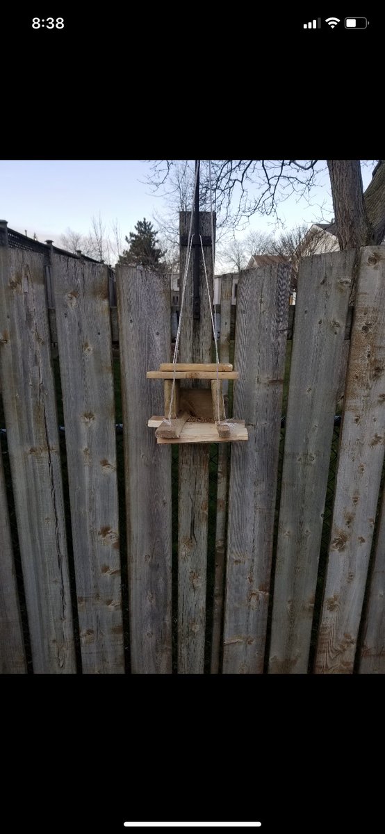 Mrs_S_Gigliotti's tweet photo. Check out this students bird house! What an amazing job by D! 🕊 @ADayatStRaphs #somepositivenews https://t.co/pS6UvppJrO