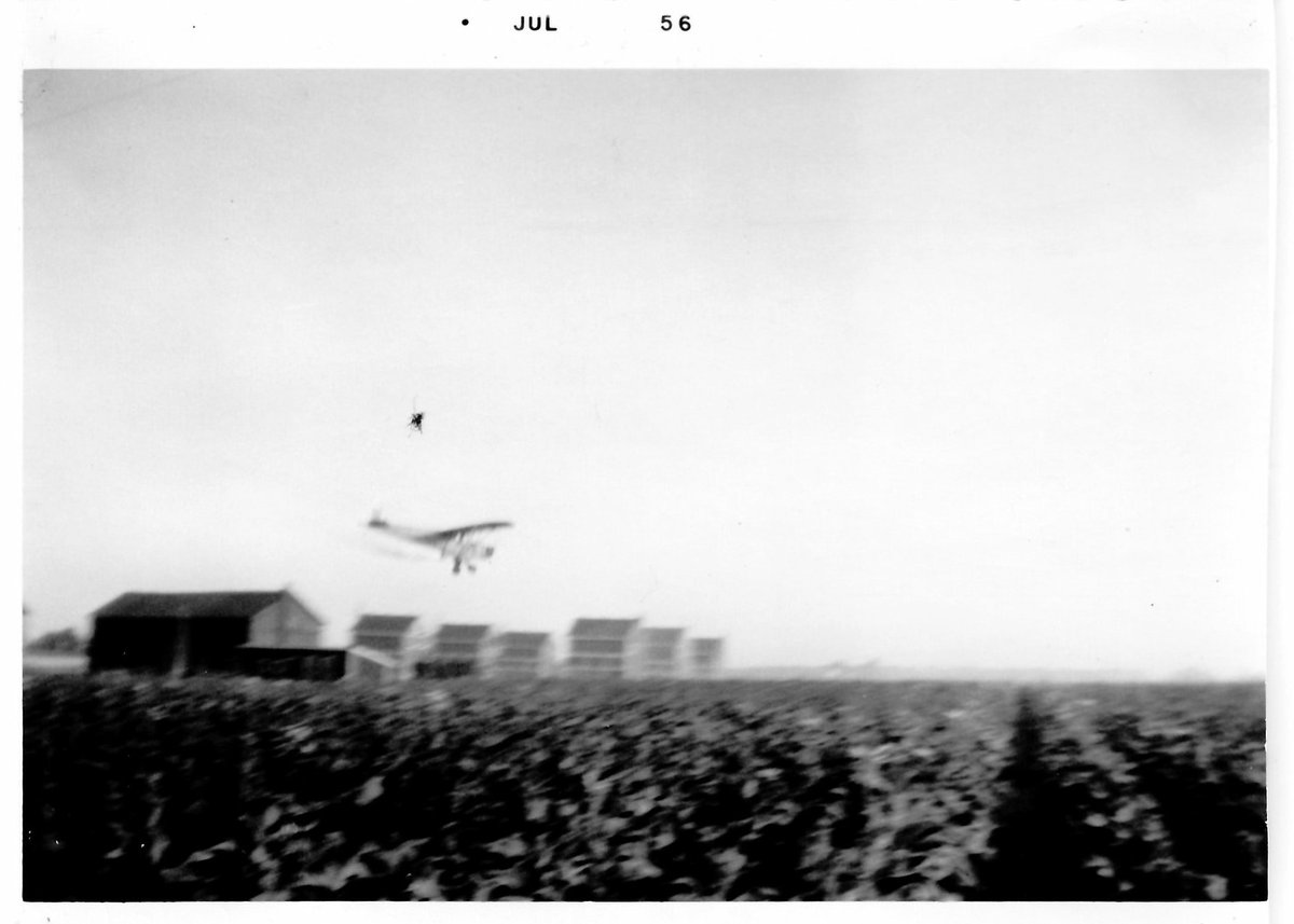 Photo taken in 1956 on a July day depicting an aircraft conducting aerial spraying over a tobacco field. Several tobacco kilns can be seen in the background.