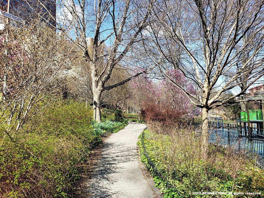 Safely strolling through @NYCmorningside at a safe distance.  

#morningsidepark #CityLife #cityphotography #cityscape #iloveny #letsguide #loves_nyc #manhattan #NewYork #nyc #nyclife #nycpics #photography #urbanPhotography #UrbanExploration #canon #Harlem #Spring #GalaxyS9
