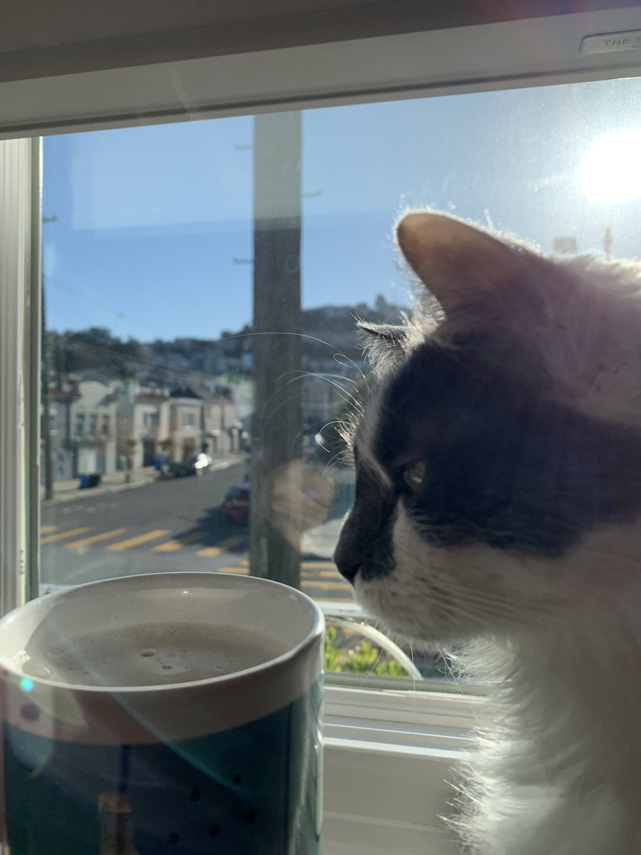headphonerecord's tweet photo. @RollOverEasy mugshot. We out from the covers and drinking coffee with you. 🙂 https://t.co/liiz3cGliD