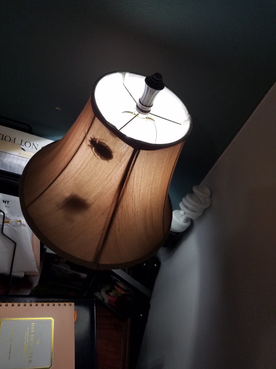 A little fun with my new office mate (wife)