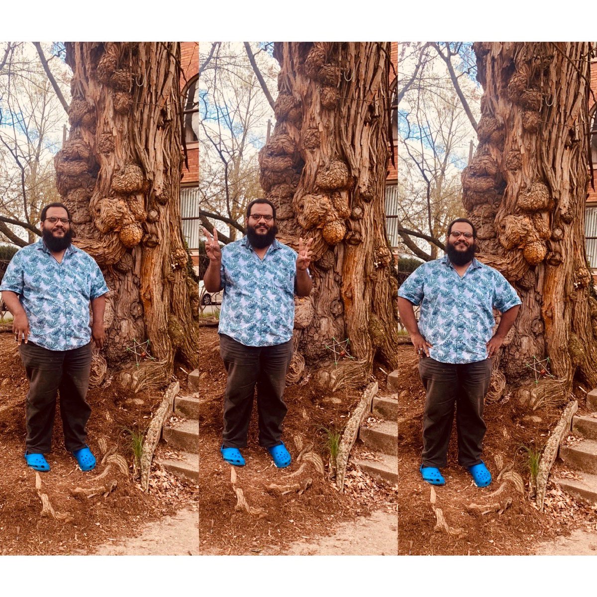 kudachi144's tweet photo. I went and visited a spooky tree. #witchestree https://t.co/iwswwVrujg